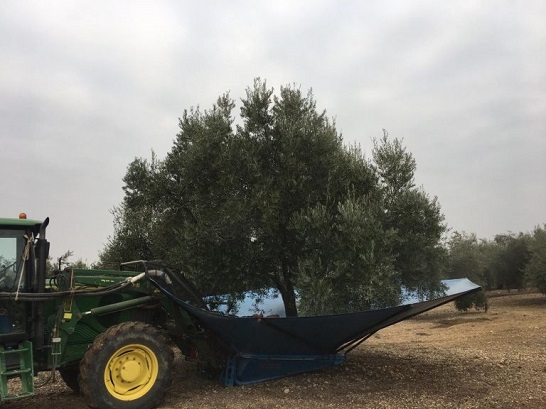 Nuevas obligaciones para el empresario agrario frente al Covid-19.