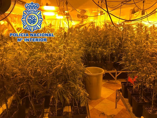 La Policía Nacional desmantela en Linares un laboratorio clandestino de cultivo y elaboración de marihuana.