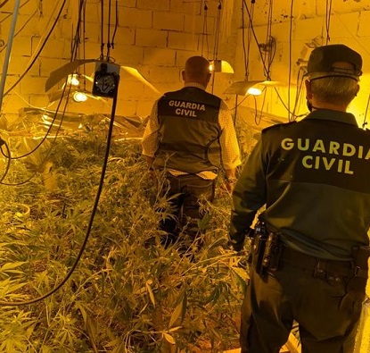 La Guardia Civil desmantela una plantación de marihuana en Lopera.
