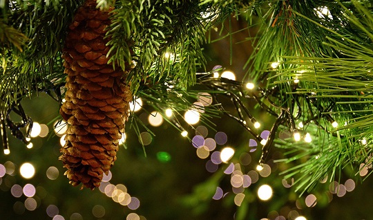 La decoración navideña luminosa debe indicar la potencia y el marcado CE.