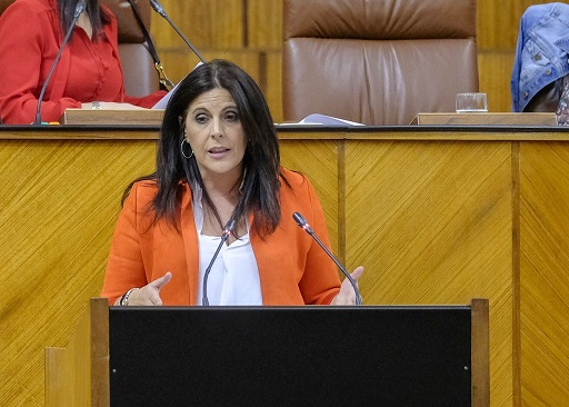 El PSOE exige a la Junta que “se alegre por la llegada de la vacuna, deje de confrontar con el Gobierno y refuerce el sistema sanitario público”.