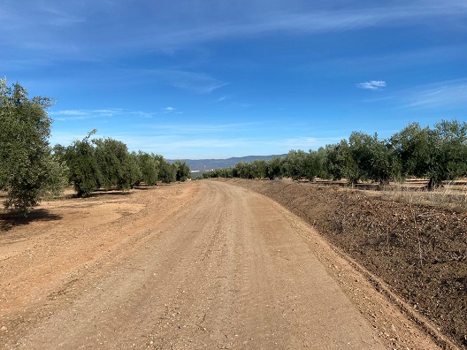 El Ayuntamiento de Marmolejo invierte 200.000€ de fondos propios en el arreglo de caminos rurales.