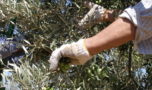 La economía andaluza cae en 2020 un 10,3% por la Covid-19, tras crecer un 0,3% en el cuarto trimestre.