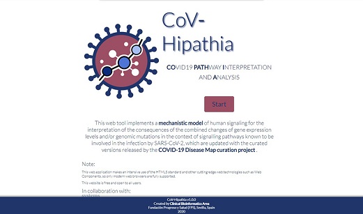 Una herramienta informática permite estudiar en detalle el mecanismo molecular de la Covid-19.
