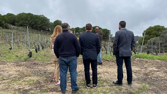 El diputado de Agricultura, Pedro Bruno, visita las Bodegas Viñas Tintas Capellanía de Andújar.