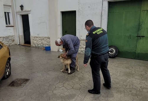 La Guardia Civil investiga a dos personas por presuntas autoras de cuatro Delitos de Robo.