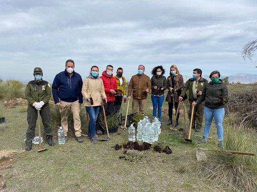Desarrollo Sostenible inicia hoy los actos para conmemorar el 28F con la plantación simbólica de especies autóctonas en Jaén.