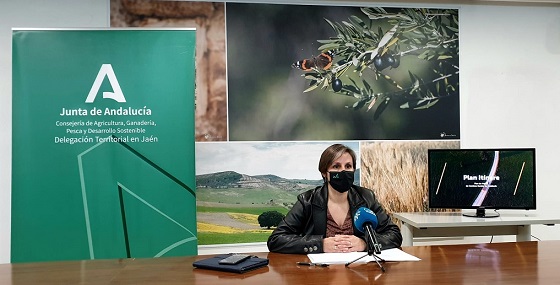 Agricultura invierte 13 millones de euros en la mejora de 40 caminos rurales de Jaén.