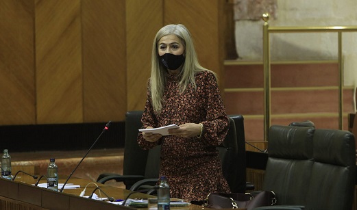 Del Pozo anuncia nuevas líneas de ayudas para el sector cultural por más de 2,8 millones de euros.