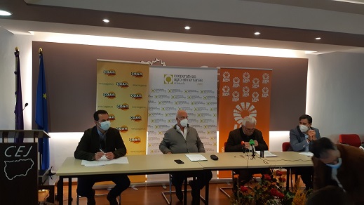 Las organizaciones agrarias Asaja, Coag y UPA y Cooperativas Agro-alimentarias, retoman las movilizaciones en Jaén pidiendo la retirada del decreto de convergencia de la PAC.