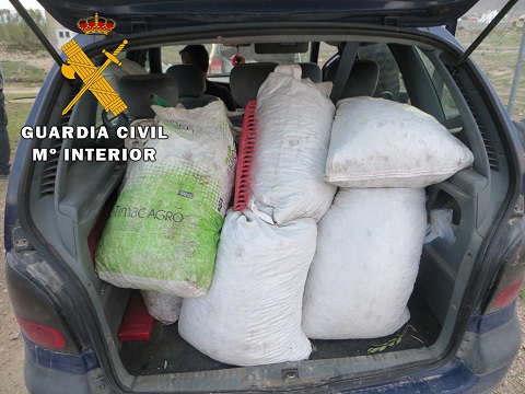 La Guardia Civil investiga a nueve personas como presuntas autoras de Hurto de Aceituna.