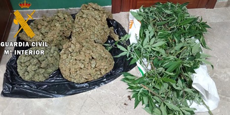 La Guardia Civil incauta 85 plantas de marihuana en una vivienda de Lopera.