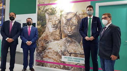 Andújar se ofrece en Fitur como destino internacional de ecoturismo con el lince ibérico como protagonista.
