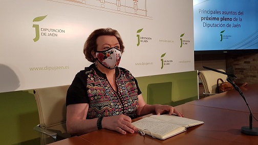 El próximo pleno de la Diputación abordará la gestión del Palacio de Deportes Olivo Arena.