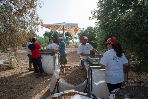 El IAJ aprueba dos Campos arqueológicos de Voluntariado Juvenil para Jaén, que actuarán en Cástulo (Linares) y en el Castillo de Bedmar.
