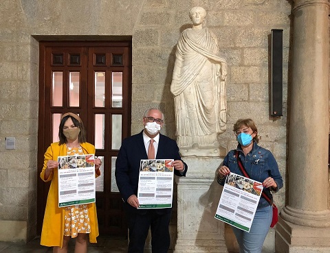 La Consejería de Cultura celebra el Día de los Museos con un amplio programa de actividades culturales para dar a conocer sus colecciones.