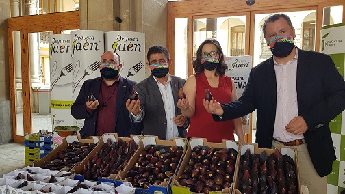 La VIII Muestra Provincial de la Breva de Jimena que organiza Diputación llegará a una decena de municipios jiennenses.