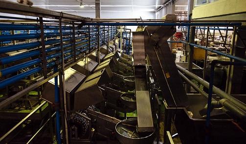 Cerca de 270 pymes invierten 208 millones en instalaciones y maquinaria más eficientes.