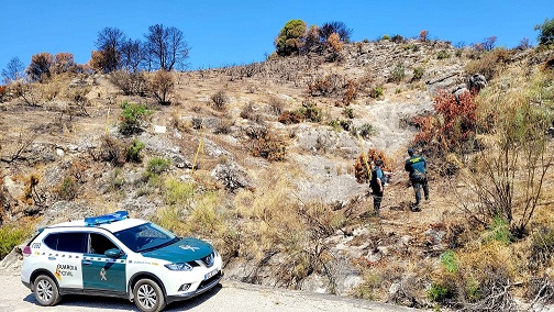 La Guardia Civil investiga a tres personas como presuntas autoras de un Delito de Incendio Forestal.