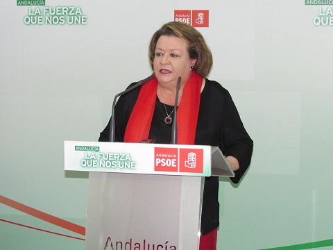 El PSOE trasladará al Pleno de la Diputación el blindaje de la sanidad pública andaluza.