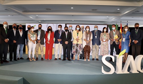 Andalucía producirá 1.050.300 toneladas de aceite de oliva en la campaña 2021-2022.