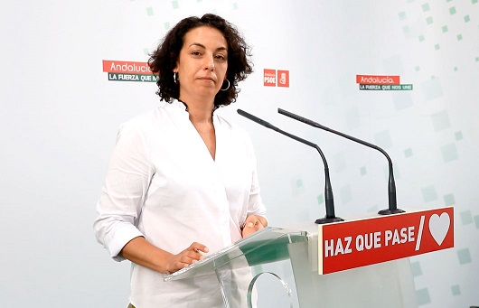 PSOE: «La Junta sólo ha ejecutado el 9% de las inversiones para Jaén».