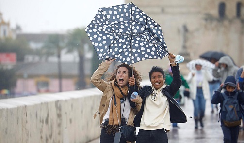 Emergencias 112 registra más de 150 incidencias por el viento en toda Andalucía.