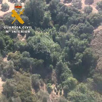 La Guardia Civil ha detenido a dos personas e investiga otras cinco como presuntas autoras de un Delito Contra la Salud Pública.