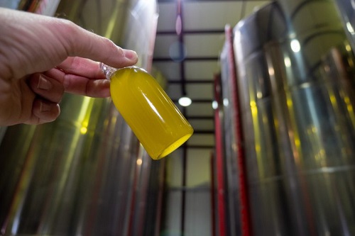 Ligera bajada en el precio del aceite de oliva y aumento en las operaciones.