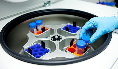Salud y Familias impulsa la captación de fondos internacionales para la I+D+i.