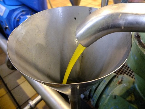 Ligeras oscilaciones en el precio del aceite de oliva y descenso en las salidas.