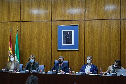 Los ayuntamientos de Jaén presentan proyectos para el 99,8% del presupuesto de la iniciativa de promoción de empleo juvenil del SAE.