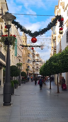 22 establecimientos comerciales de Andújar ponen luz, originalidad y color a la Navidad a través del Concurso de Escaparates Navideño.