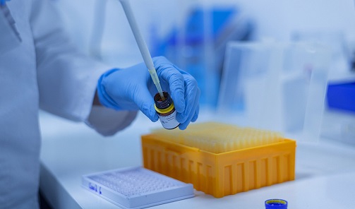 Investigadores andaluces demuestran la relación entre la vitamina D y mayor supervivencia al Covid.
