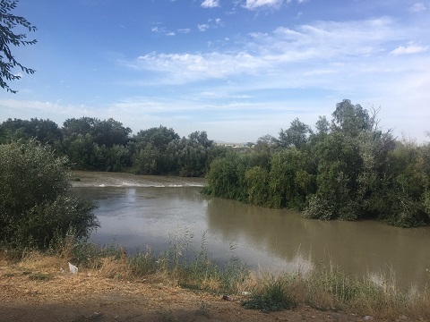 COAG y CREA Andalucía proponen al presidente de la CHG soluciones para acabar con los problemas del regadío del Guadalquivir.