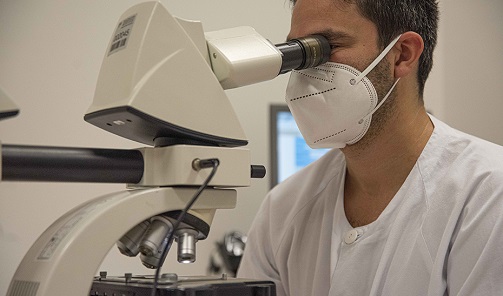 Andalucía apuesta por la I+i en Salud con un 21% más de investigadores a tiempo completo.