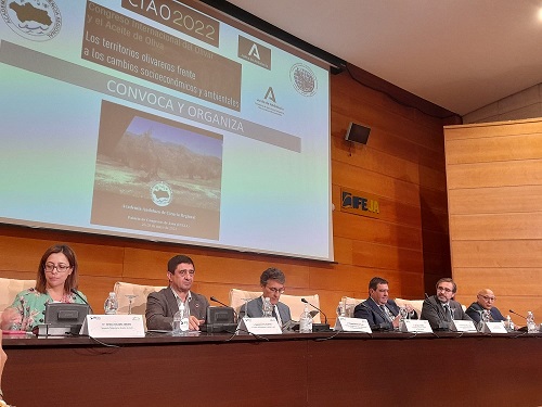 Reyes resalta la capacidad y esfuerzo del sector del olivar para adaptarse a las nuevas circunstancias en los últimos 20 años.