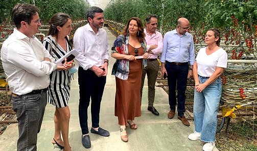 Abierto el plazo para solicitar ayudas dirigidas a disminuir la dependencia energética del regadío.