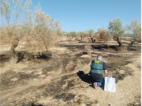 La Guardia Civil ha detenido al presunto autor de diez Delitos de Daños por incendios provocados.