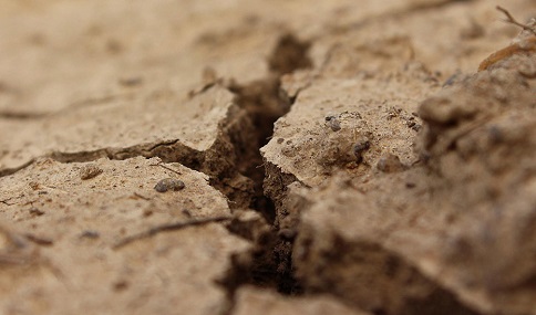 La consejera de Agricultura pide la convocatoria «urgente» de la Mesa Nacional de la Sequía.