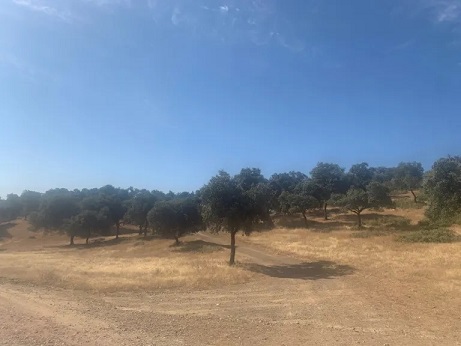 El Ayuntamiento de Andújar pide extremar las precauciones durante la Fiesta de la Aparición ante el alto riesgo de incendios.