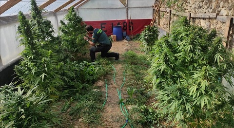 La Guardia Civil está investigando a una persona como presunta autora de un Delito Contra la Salud Pública.