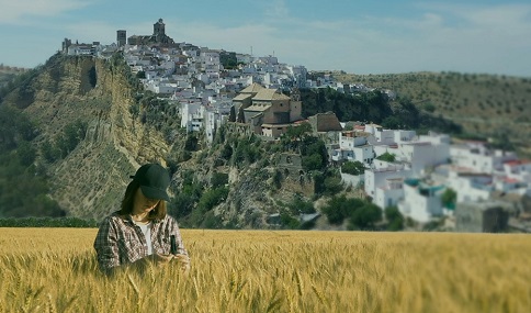 Andalucía tendrá un protocolo para la atención de las mujeres rurales que sufren violencia machista.