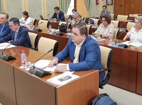 El PSOE pide a la Junta más apoyo a los ayuntamientos para garantizar los servicios públicos.