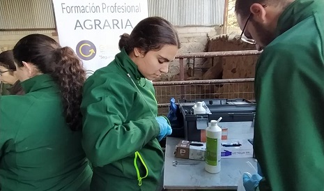 La red nacional de Centros de Excelencia de FP reconoce a tres centros andaluces.