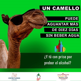 El Ayuntamiento de Andújar y Espirituosos España lanzan una campaña para concienciar a los jóvenes sobre el consumo de alcohol en Navidad.