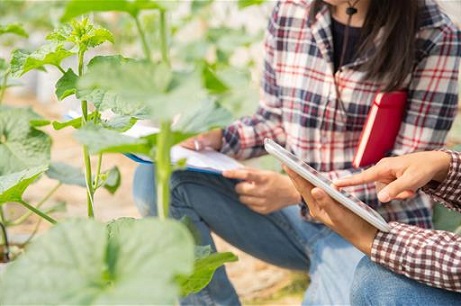 Agricultura, Pesca y Alimentación destina 12,15 millones de euros para financiar 23 proyectos innovadores en el sector agroalimentario y forestal.