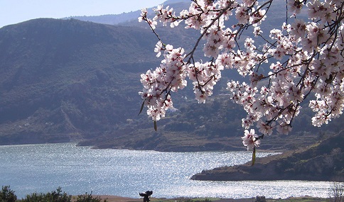 La Junta amplía un mes el plazo para solicitar las ayudas destinadas a promover el desarrollo rural.