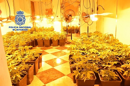 La Policía Nacional detiene en Mengíbar a dos personas que gestionaban una plantación de marihuana.
