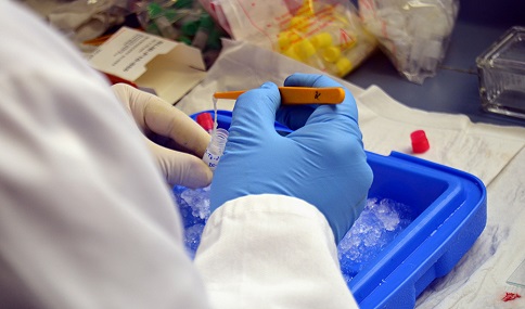 La producción científica de las universidades andaluzas crece casi un 36% en el último lustro.